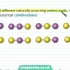 13.Proteins_ Primary and Secondary Structure _ A-level Biolo