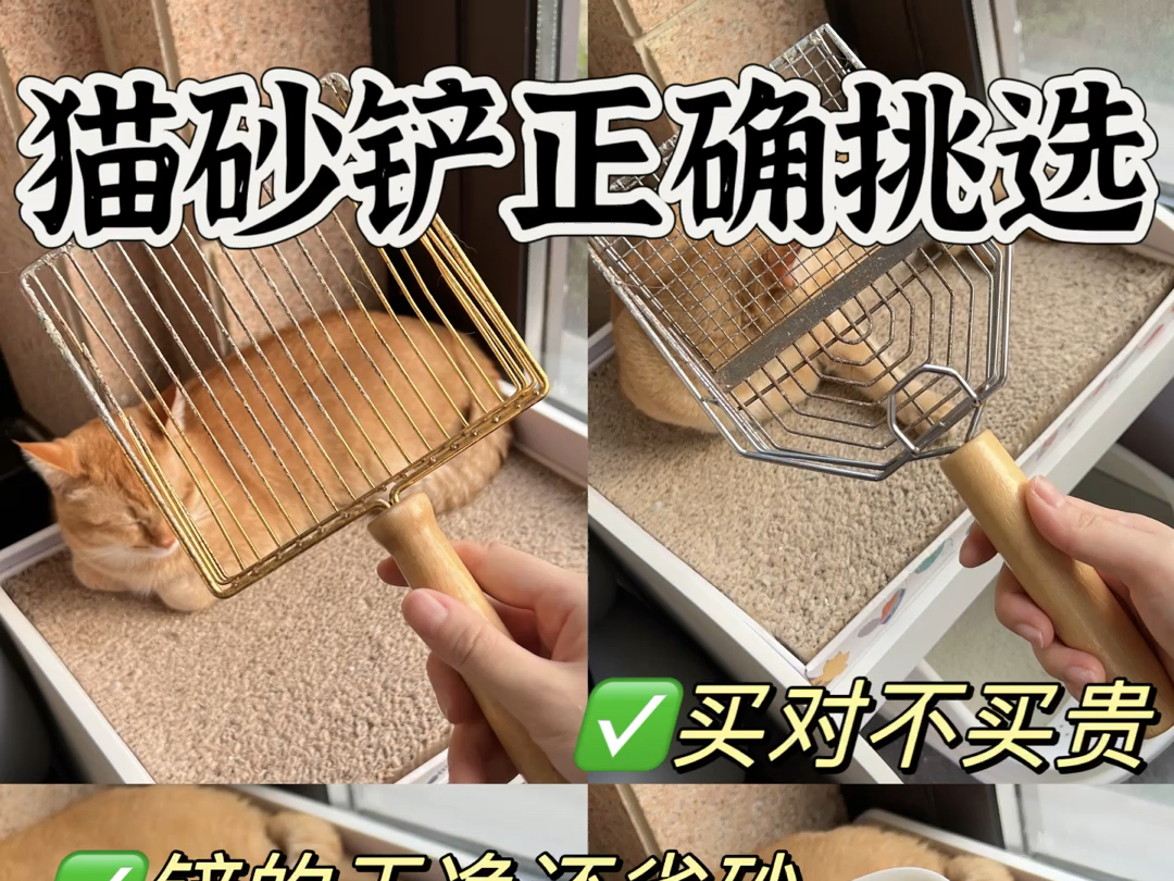 新手养猫必看 | 猫砂铲应该怎么选！这很重要！
