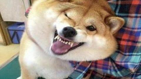 6924609548c90b2a4d1424b584c6b3a8365ee960.jpg@480w_270h_1c