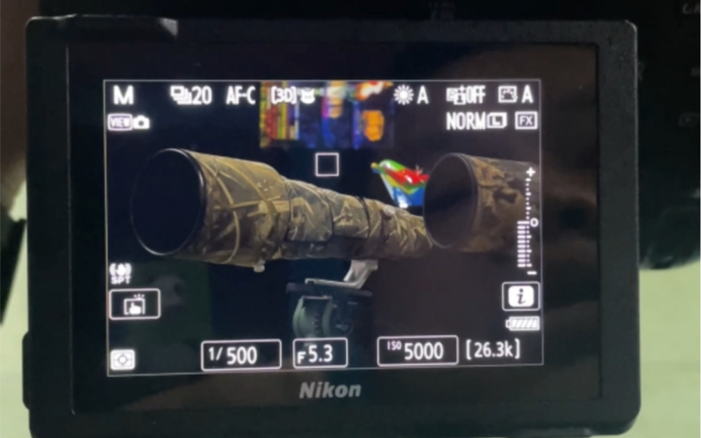 尼康Z9拍鸟时对焦的应用技巧