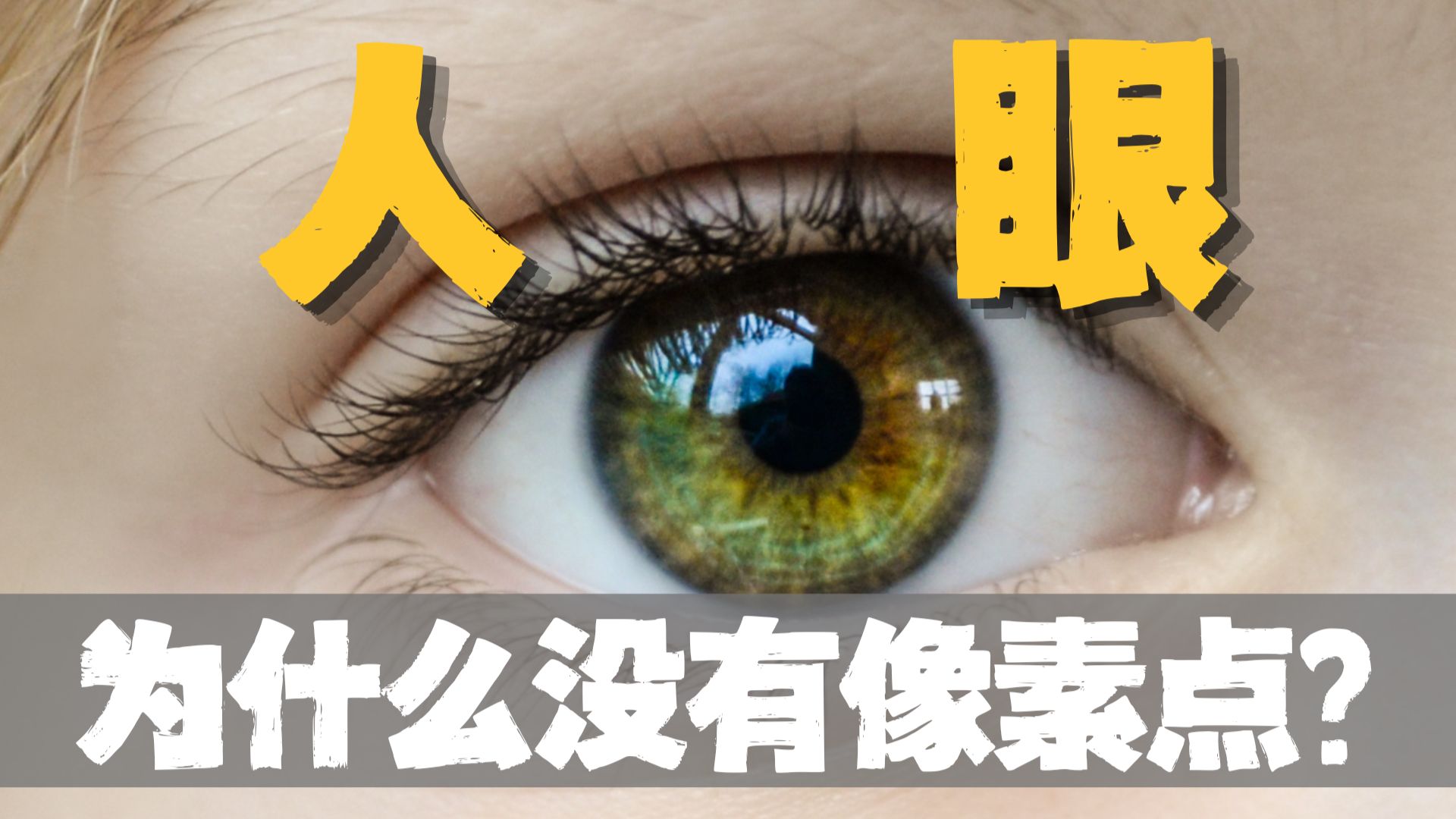 人眼像素有限，为什么看世界却没有照片的颗粒感？
