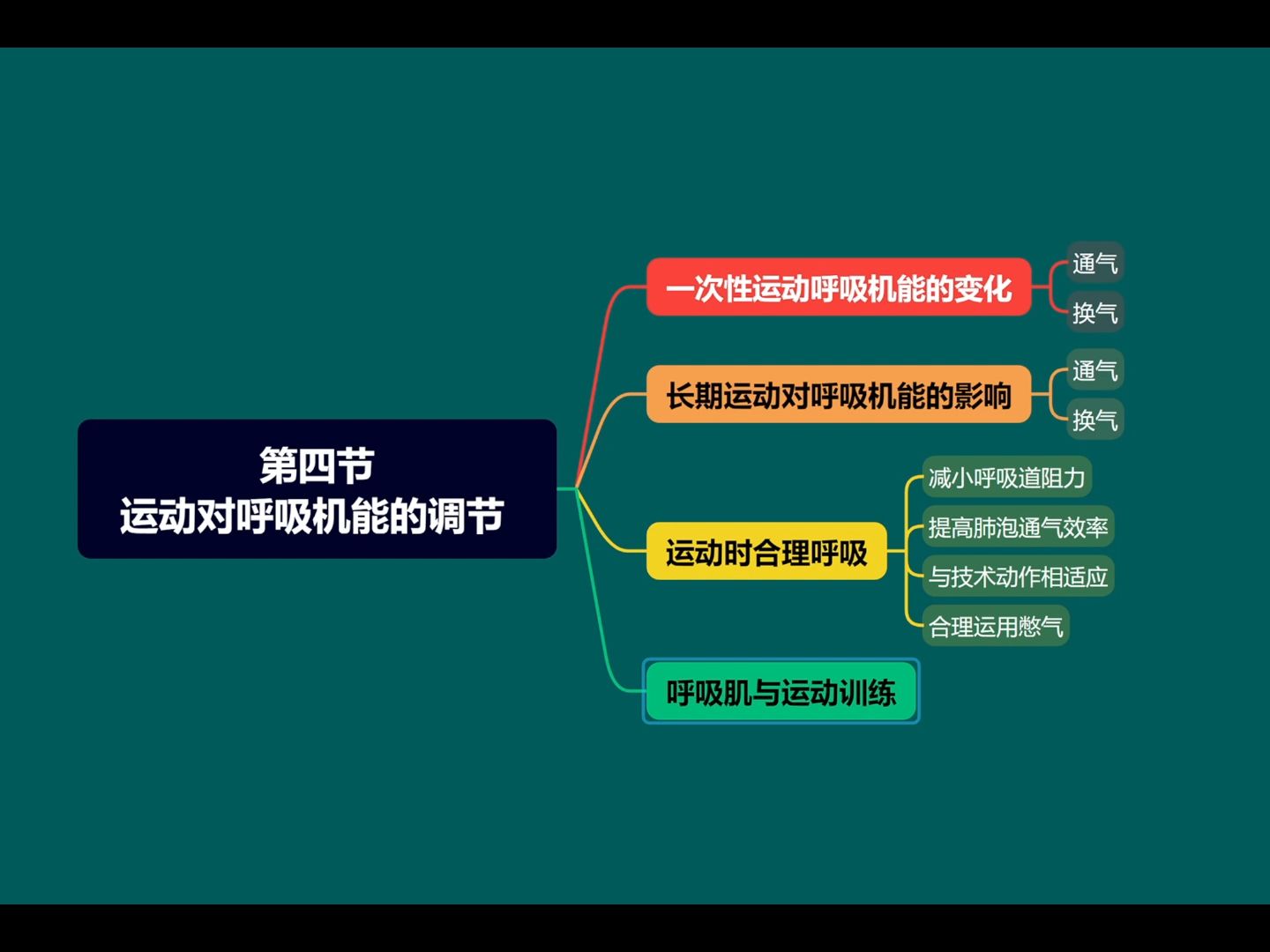 运动生理学 王瑞元版（整书更新）第五章 运动与呼吸 3、4节（第6版）