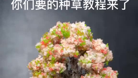 6953fece22cb1171066e1a93d504d84f55197075.png@280w_158h_1c_100q.jpg