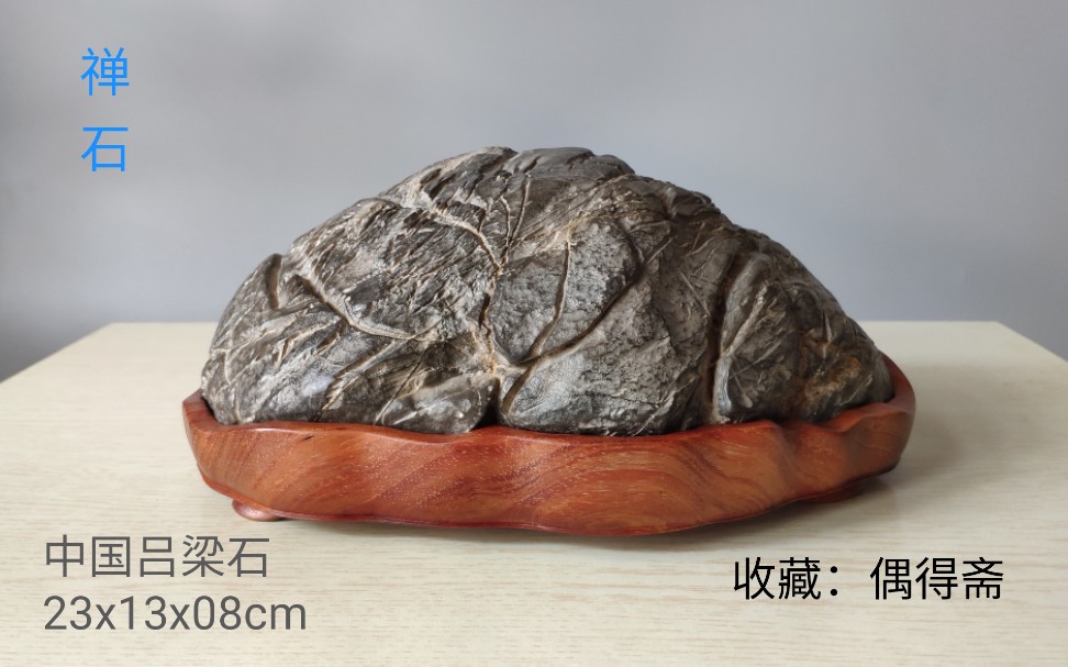 禅石】:(23x13x08cm)观赏石小品，吕梁石，产自江苏徐州境内，石皮呈 