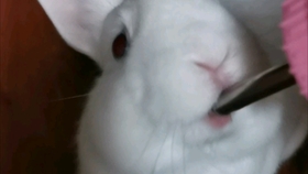 696353a64bd1eb40fa4da992572c26c0ea6d4922.jpg@280w_158h_1c_100q.jpg