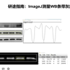 研途指南：ImageJ 测量western blot（WB）条带灰度值