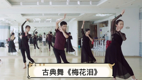 陶笛梅花泪曲谱_陶笛曲谱12孔(4)