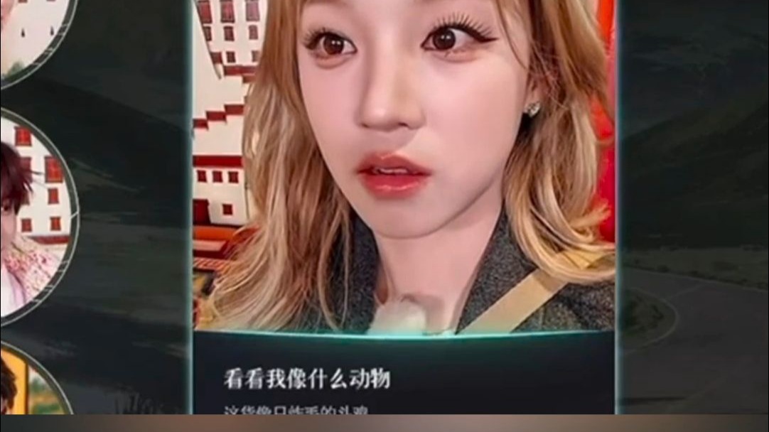 灵光App你是懂追星女的！