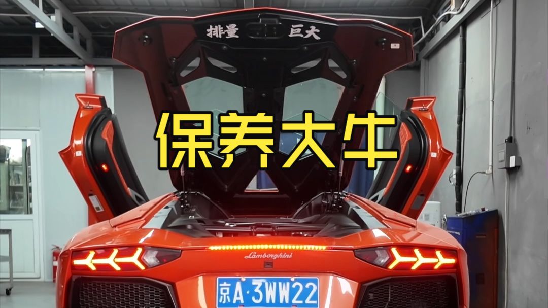 沉浸式给兰博基尼大牛做保养！