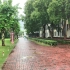 上海中学的雨中漫步