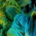 【彩色水墨溶解视频素材】4K视频素材-50个微观特写中国风古风彩色水墨溶解流体背景特效动画