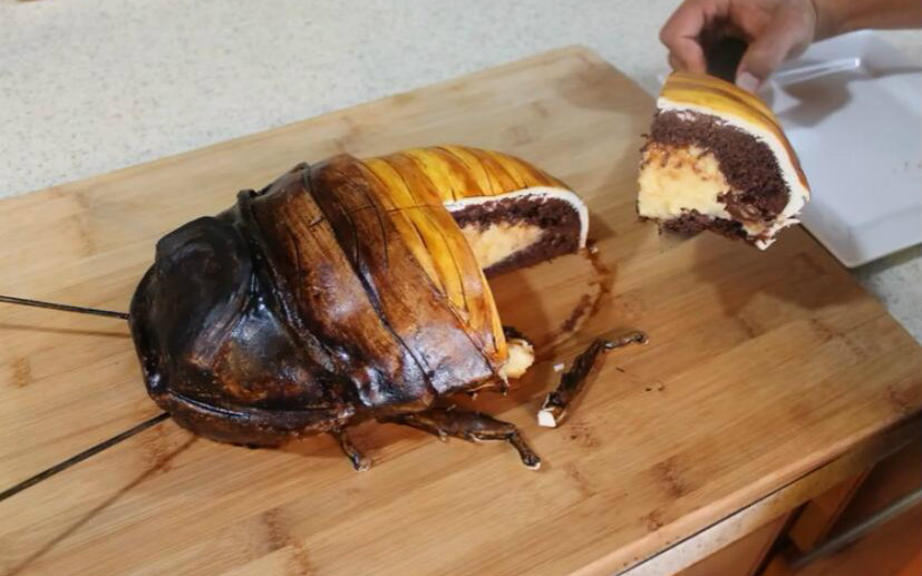 制作一个巨大的蟑螂蛋糕