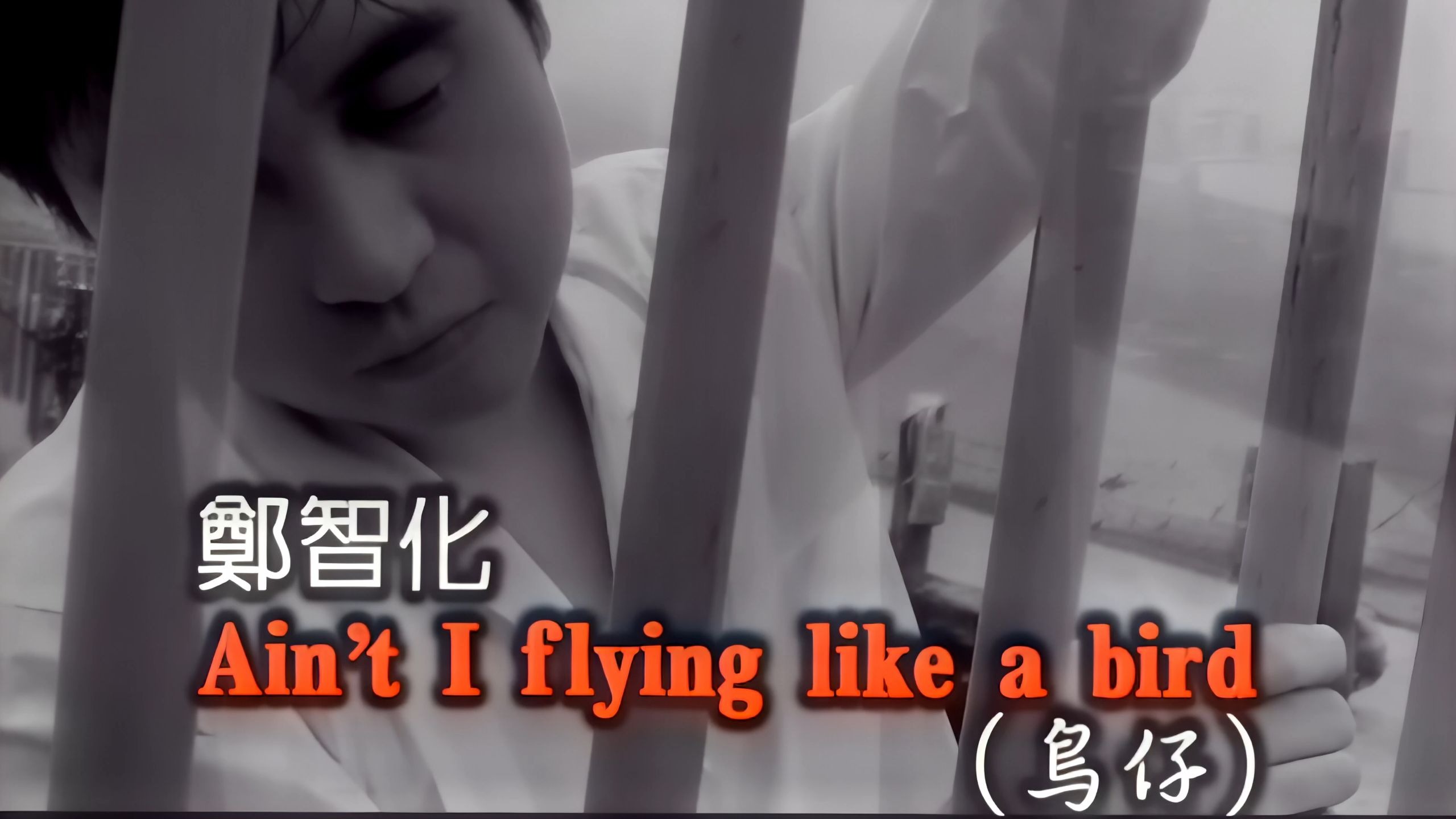 郑智化《Ain't I flying like a bird》官方MV 高清4K修复版