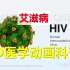 【3D医学动画科普】艾滋病（中英双语字幕）