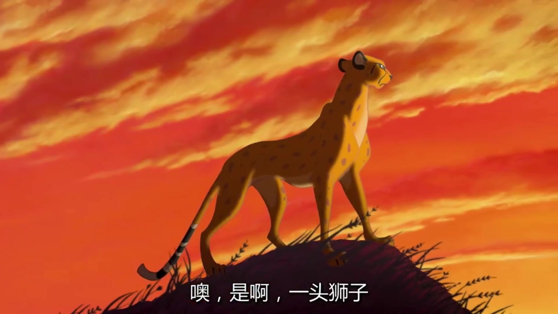 狮子王辛巴动画片全集国语图片