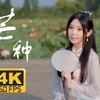 芒种这天，来看欣小萌封神作《芒种》修复版吧【4K60帧