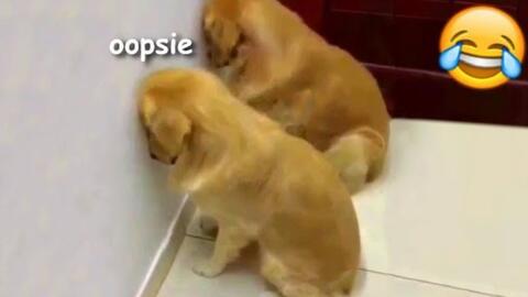 6a0bad4eeb04734db26feaacb0b1766323554db1.jpg@480w_270h_1c