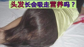 6a0dee2dbe67a300a1acbffdcd4c081938b5a40d.jpg@280w_158h_1c_100q.jpg