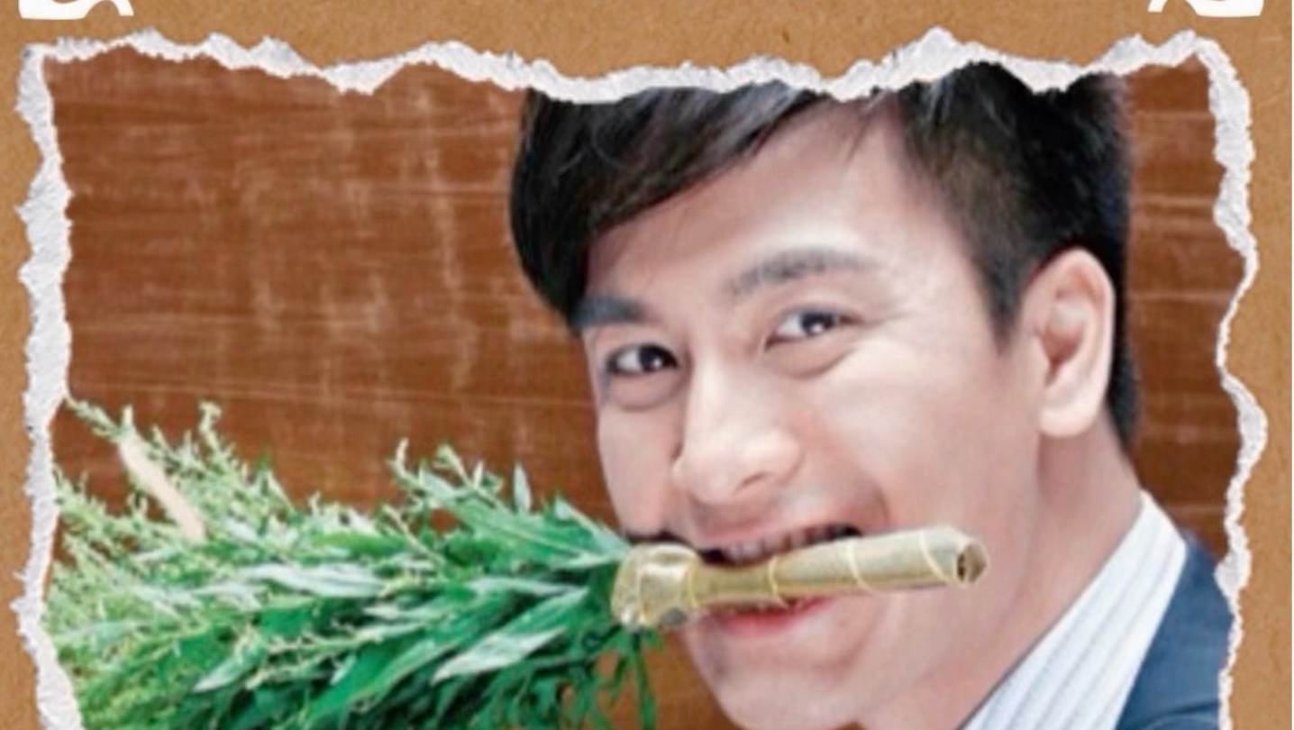 已经开始考古唐老鸭了