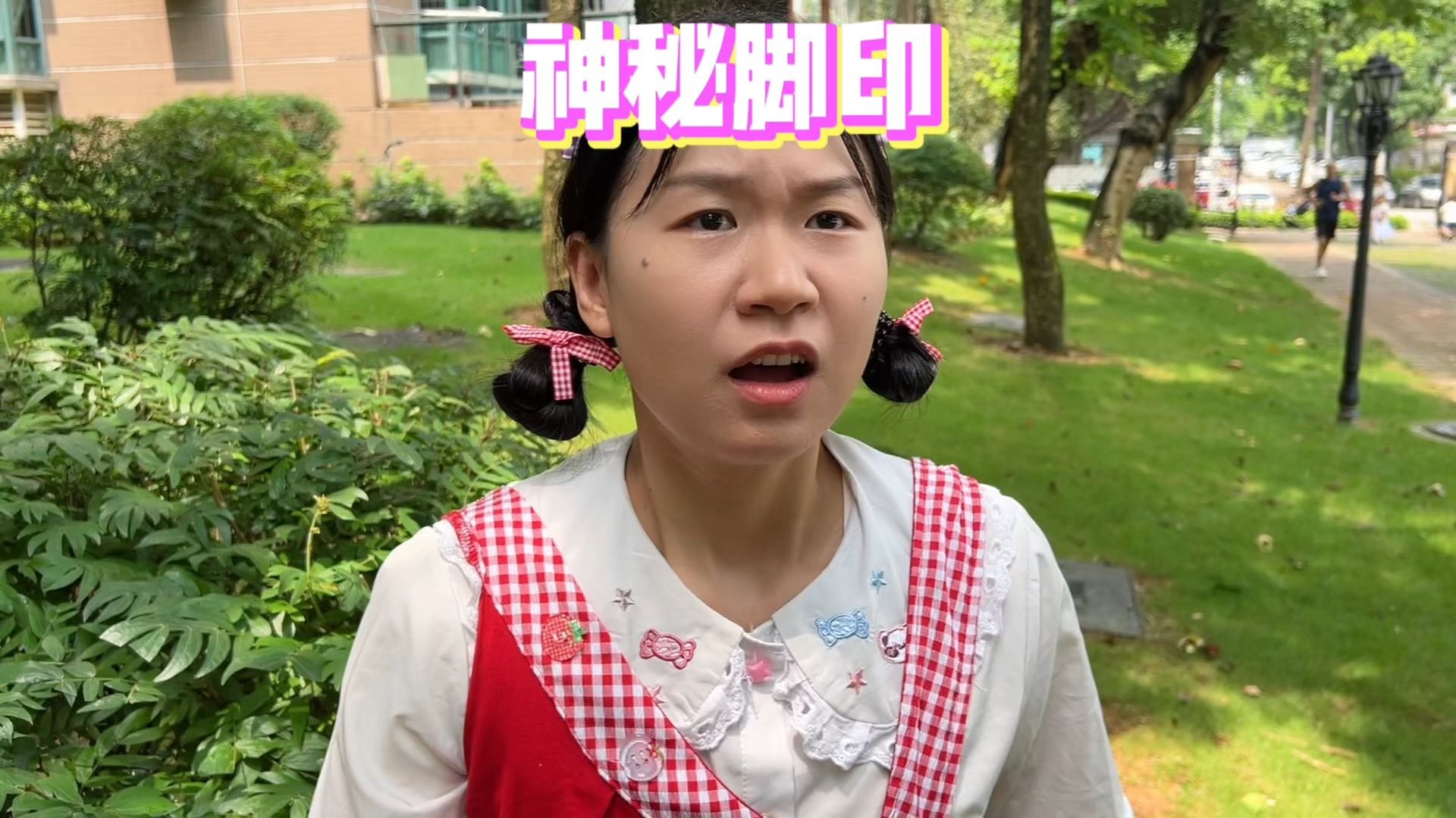 楼下发现了几个超级大的脚印！