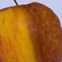 【食物腐败镜头】苹果?篇