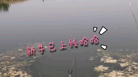 6a50617537766e1a6ec95a5d7263db12da8f27a0.jpg@480w_270h_1c