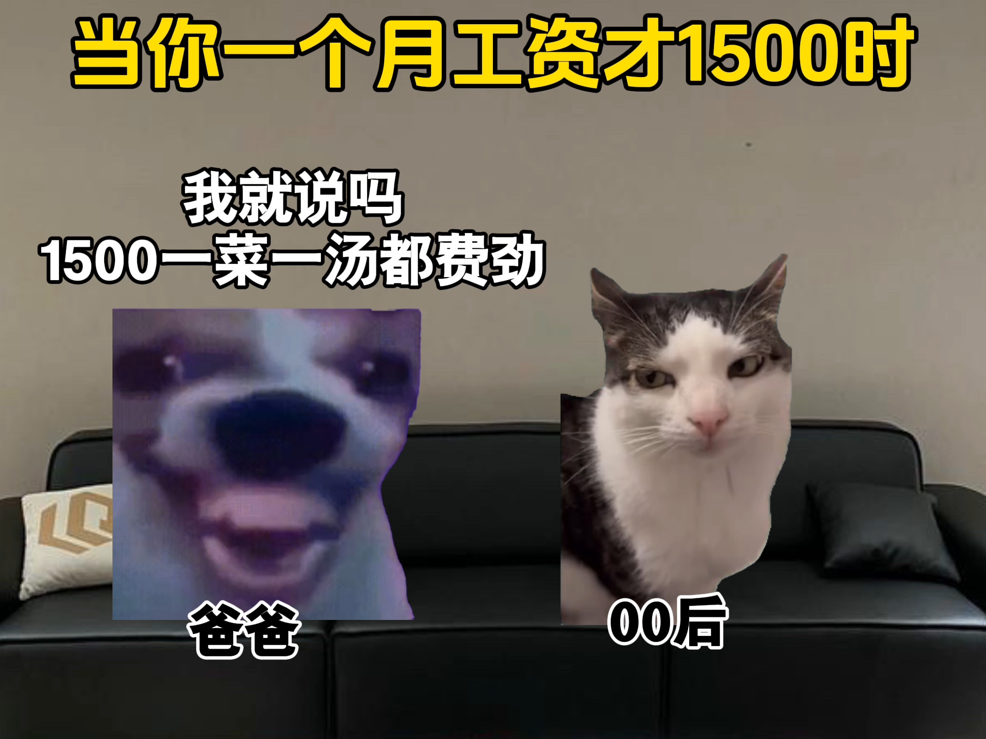 当你一个月工资才1500时