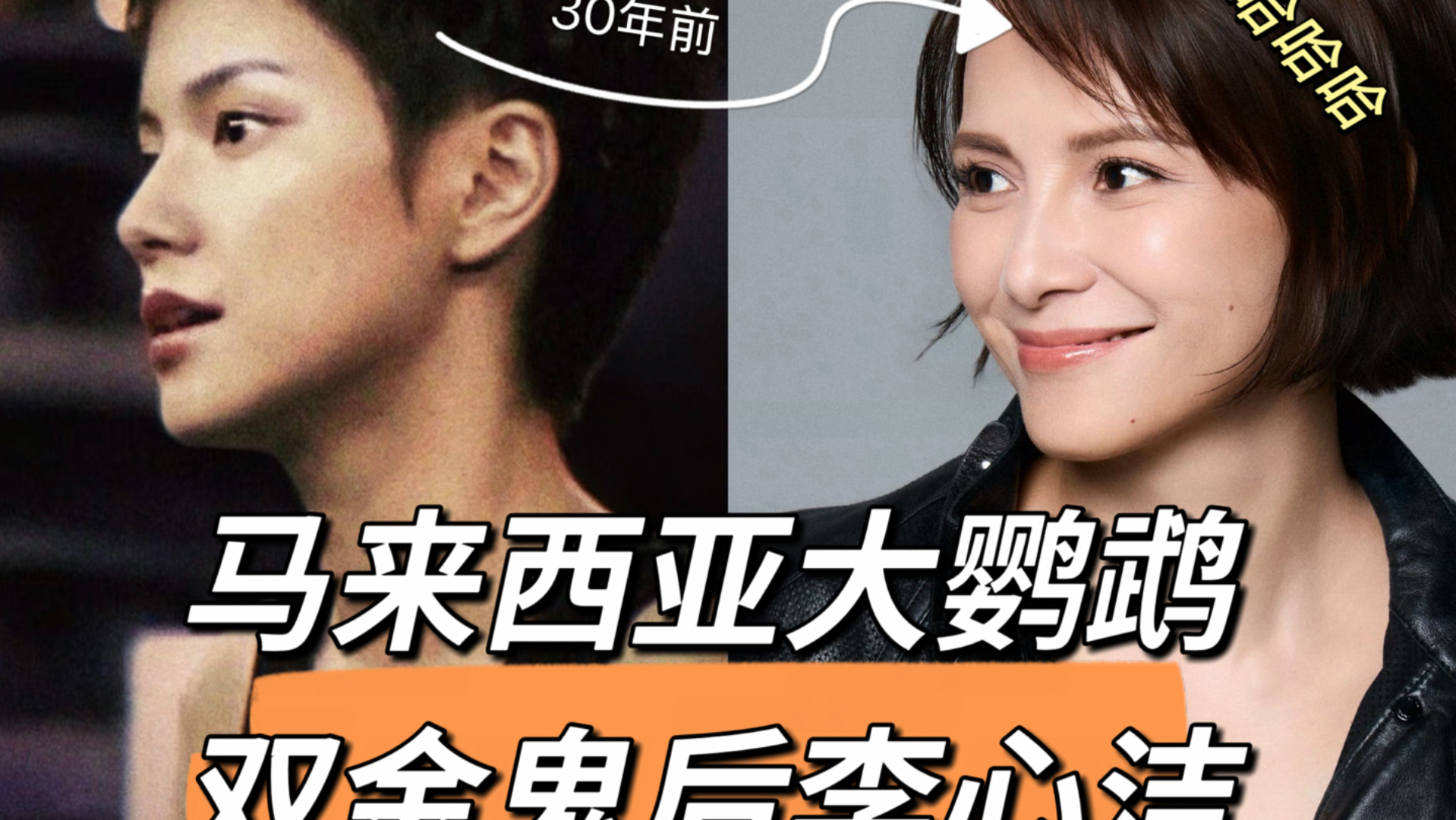 马来西亚大鹦鹉？最好继母？原谅渣男？考古双金鬼后李心洁