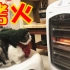 天冷了，猫咪烤火一定要烤熟了才知道吗？