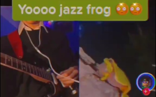 蛙蛙爵士乐队