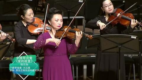 音乐会现场演奏小提琴 6a7c7872924359923b63b4a95490e2fef6b574a9.jpg@480w_270h_1c