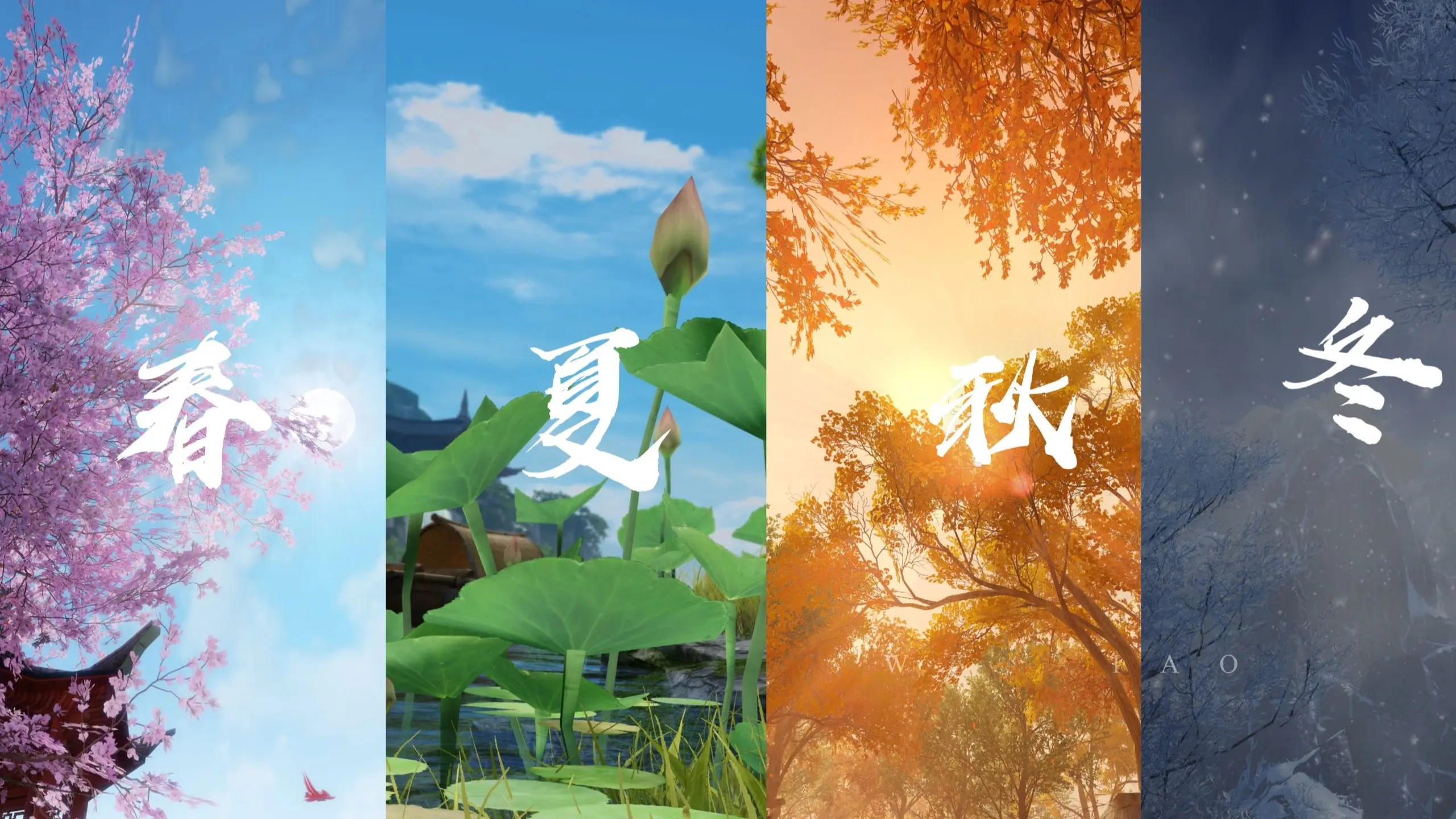 【一梦江湖】📷镜头里的春夏秋冬