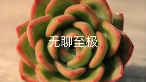 6a85b56e8e1460e473330fd0bcd93f8fc141375a.jpg@480w_270h_1c