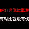 四大IT岗位真实就业现状，没有对比就没有伤害，想入行的程序员一定要注意