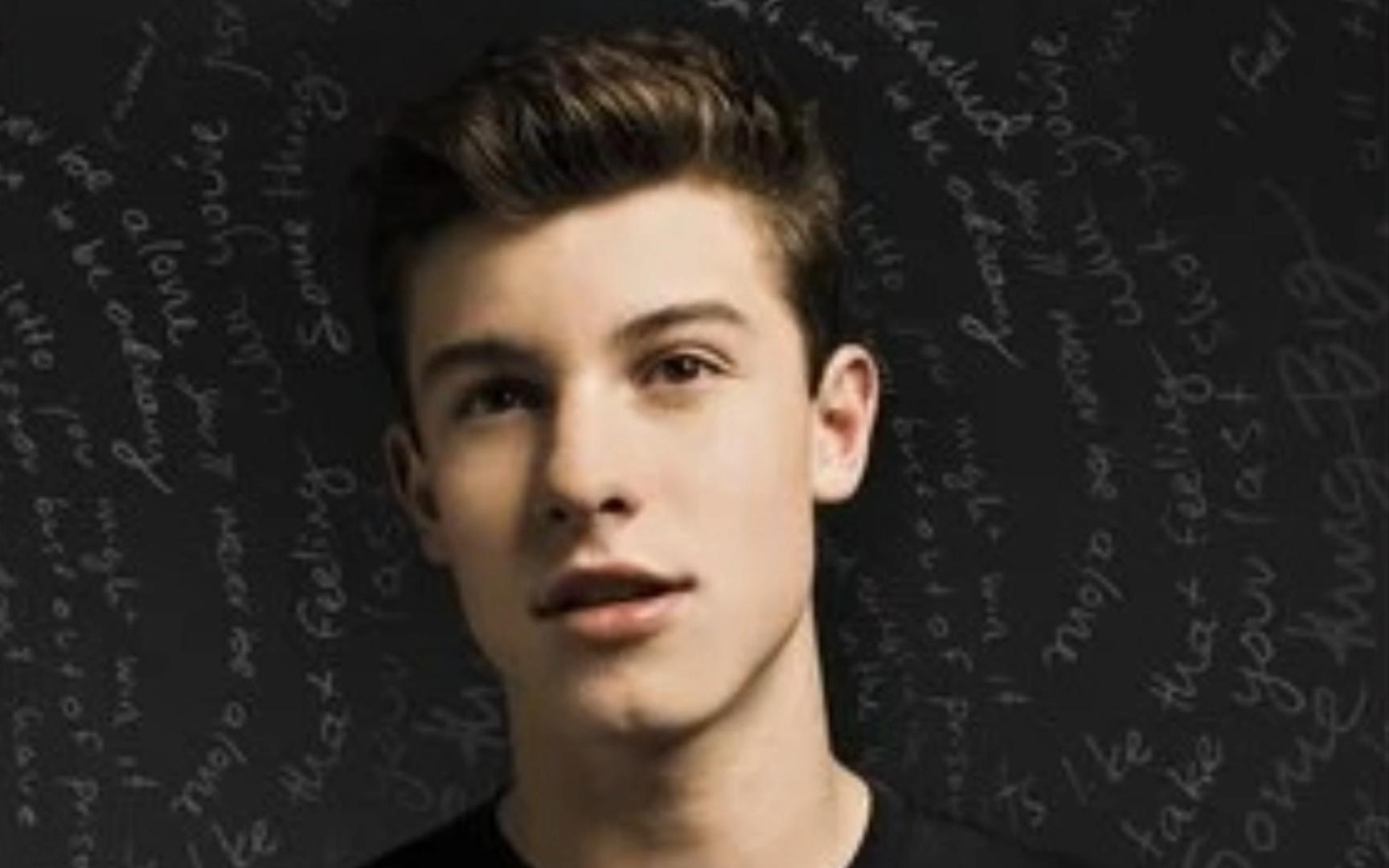 Stitches----Shawn Mendes 和声版伴奏