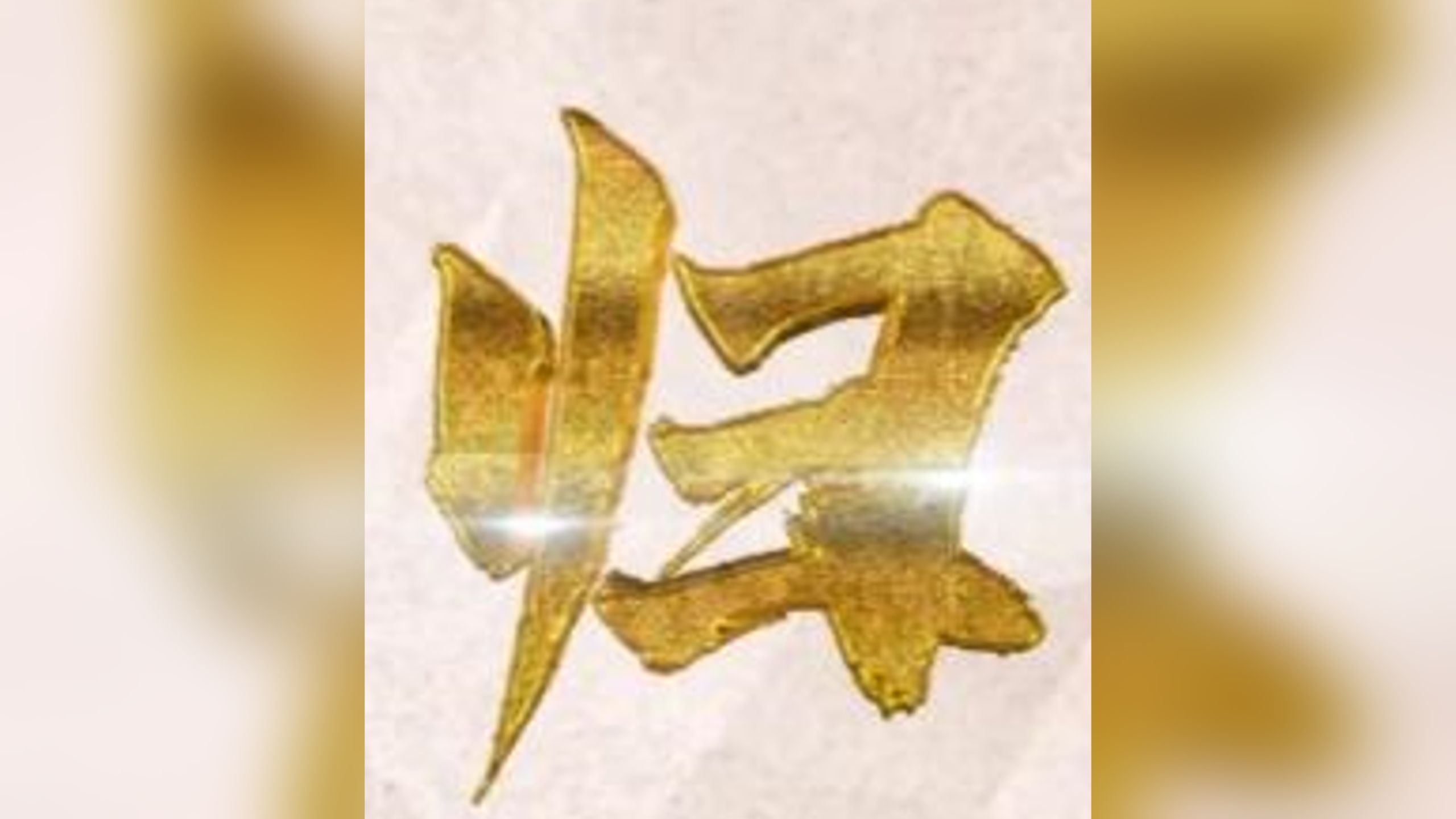 台湾光复80周年：听！不曾忘却的“回家”心声