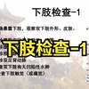 全身体格检查 下肢检查