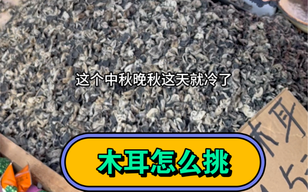 东北早市土豆哥揭秘：早市木耳挑选大法，让你一次买到脆爽的黑龙江木耳，避免踩坑！怎么区分野生木耳，早秋，中秋和晚秋！#东北早市  #年货 #木耳
