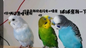 6ae741e1247543ffa963ac0d4982c3c0b6c9a4fc.jpg@280w_158h_1c_100q.jpg