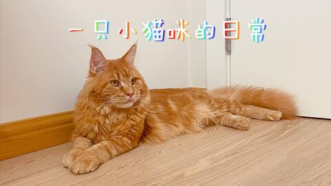 6b12680bda9e9f967a483cf6f02a8f9565a0d6ca.jpg@480w_270h_1c