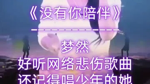 没有你陪伴真的好孤单的曲谱_没有你陪伴真的好孤单(5)