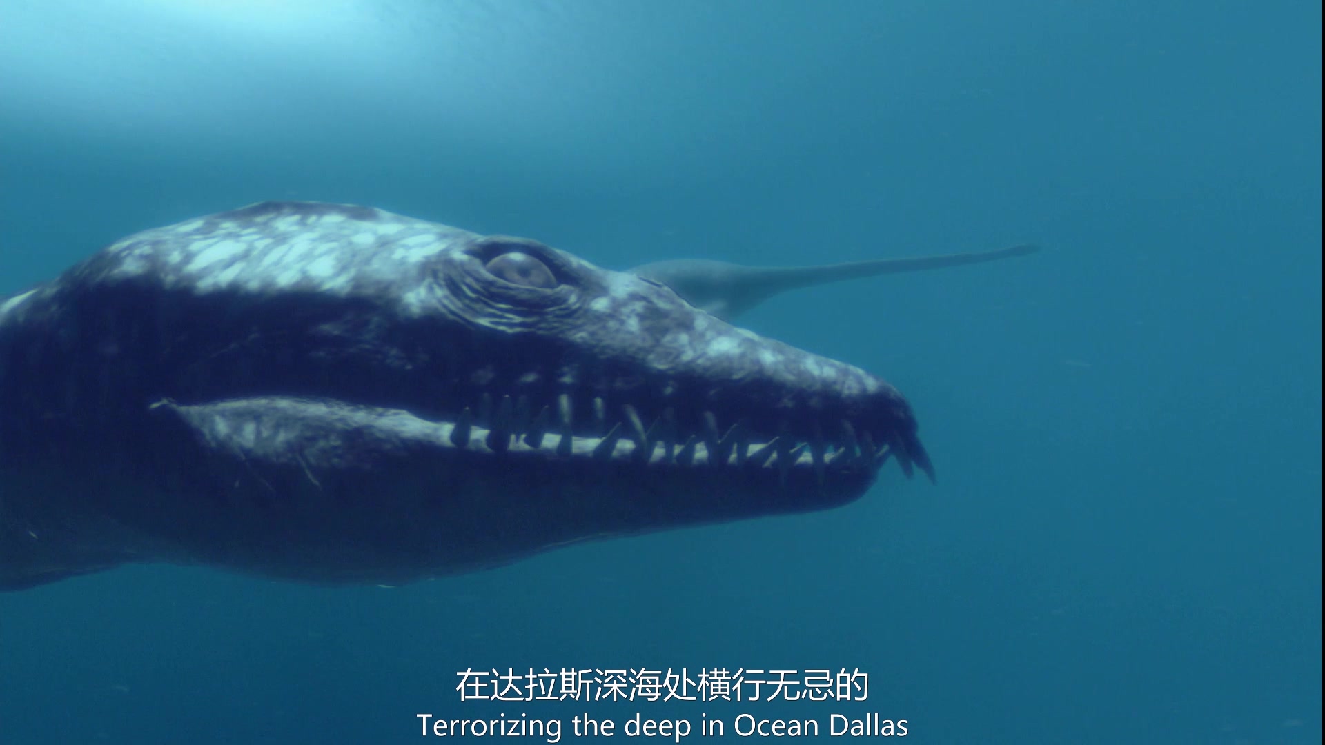 【史前世界】大白鲨的祖先鱼龙，攻击力太强

