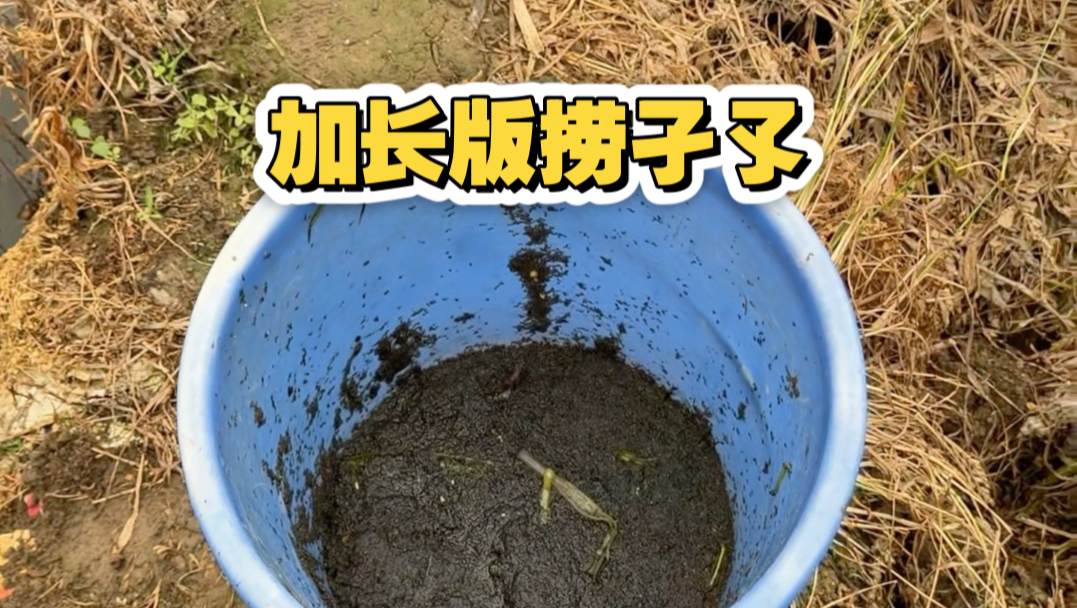 突然火了，感谢大家的支持和关注，今天点进软件被这么多消息震惊到了！马上给大家更了
