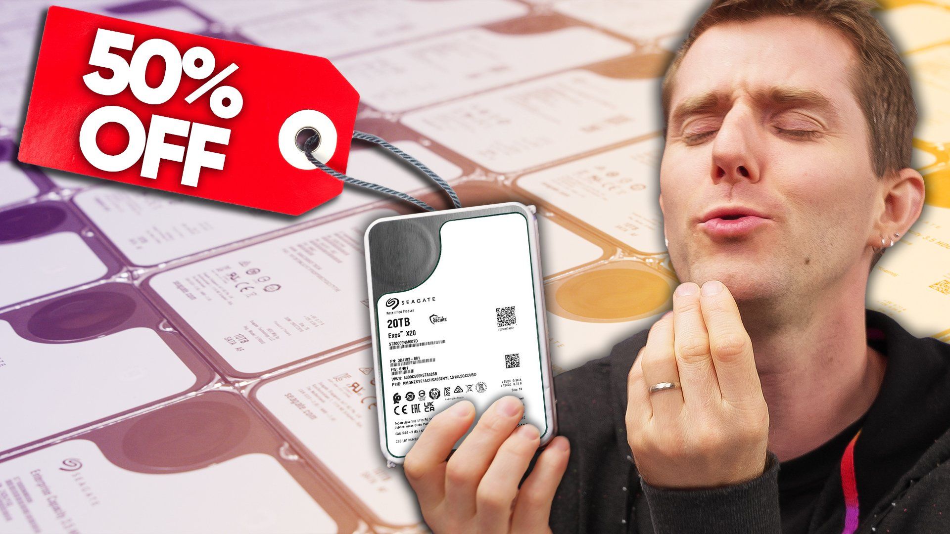 【官方双语】老莱买了1PB的二手盘 他傻了吗？#linus谈科技