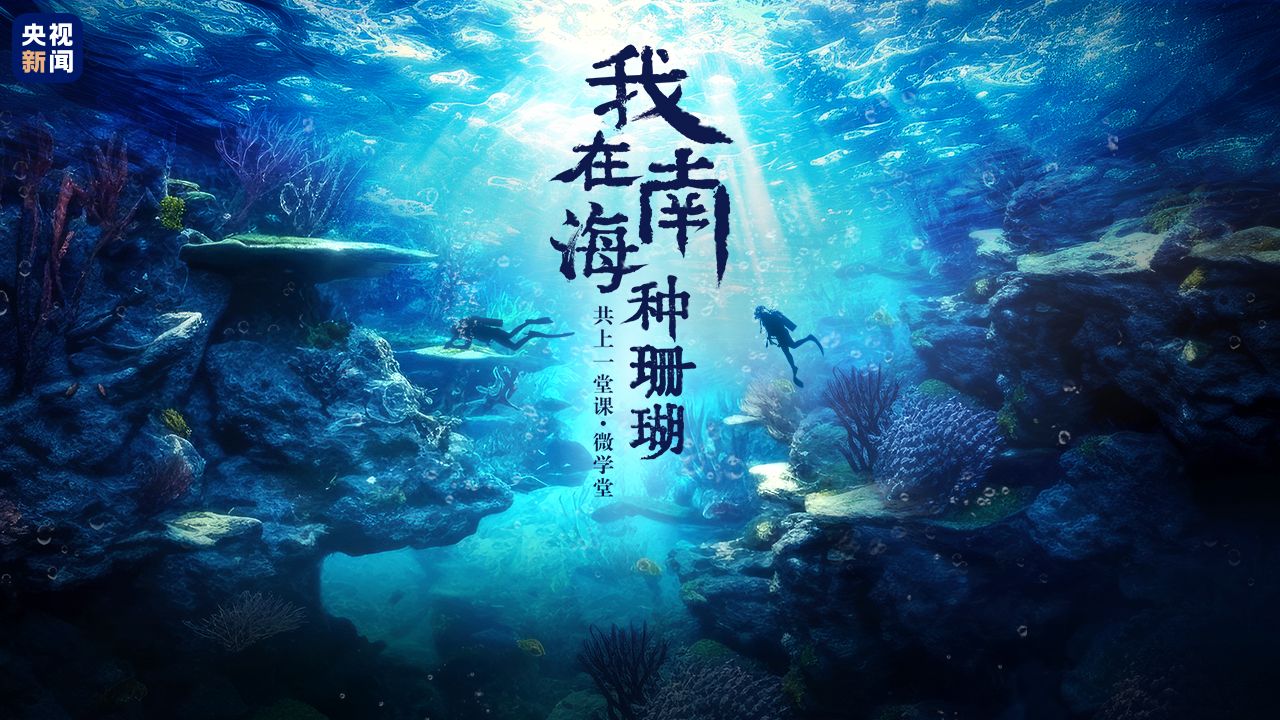 我 在 南 海 种 珊 瑚