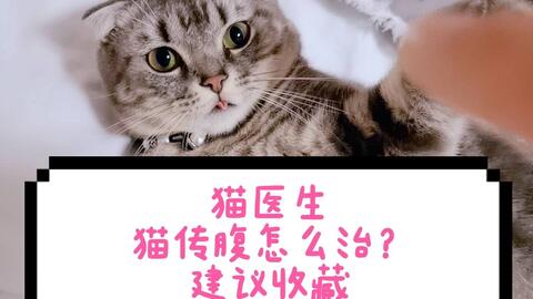 6b6e2a1c4ac2a014cb1a555d42c6e276779f1a85.jpg@480w_270h_1c