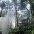 雨林实时UE4场景