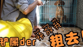 6b7f2a2ddf6144b81d217203ddf34baafa0e9e0e.jpg@280w_158h_1c_100q.jpg