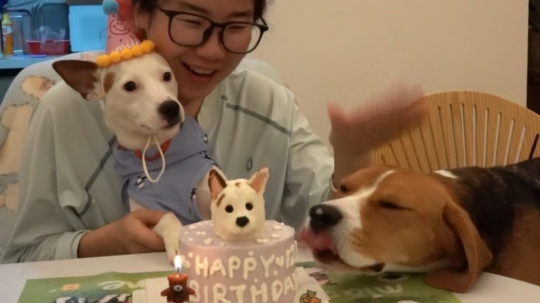 “妈妈？这难道不是我的生日蛋糕吗？”