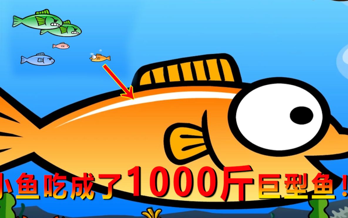 韩国大鱼吃小鱼 帮助小鱼慢慢长大 长成了1000斤巨型鱼！海牛大大解说